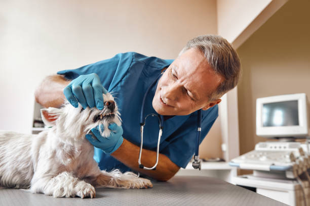 Best Cracked Tooth Emergency Dentist  in Tryon, NC